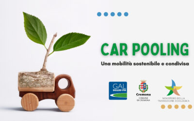 Esito del questionario sul car pooling
