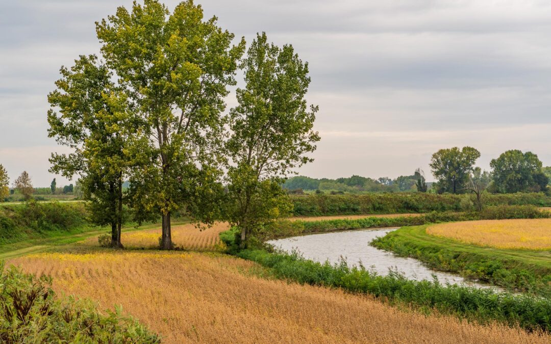 GAL Oglio Po protagonista nello sviluppo territoriale