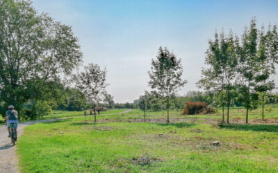 Operatori del cicloturismo alla scoperta dell’Oglio Po