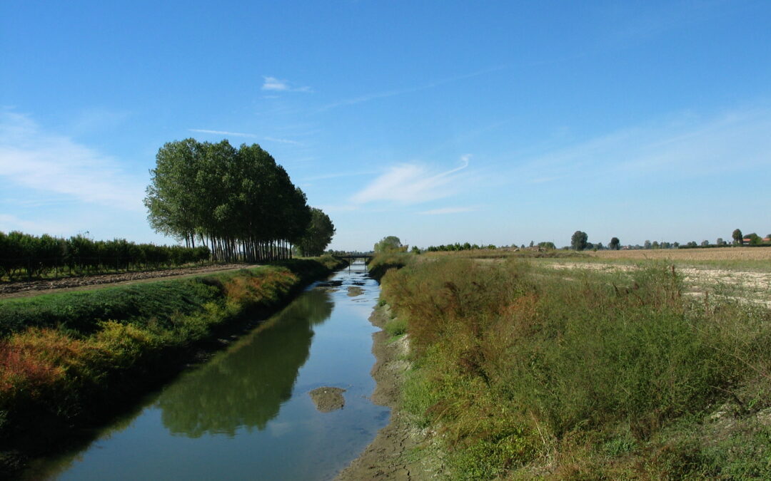 Tecniche Innovative di Controllo della Nutria