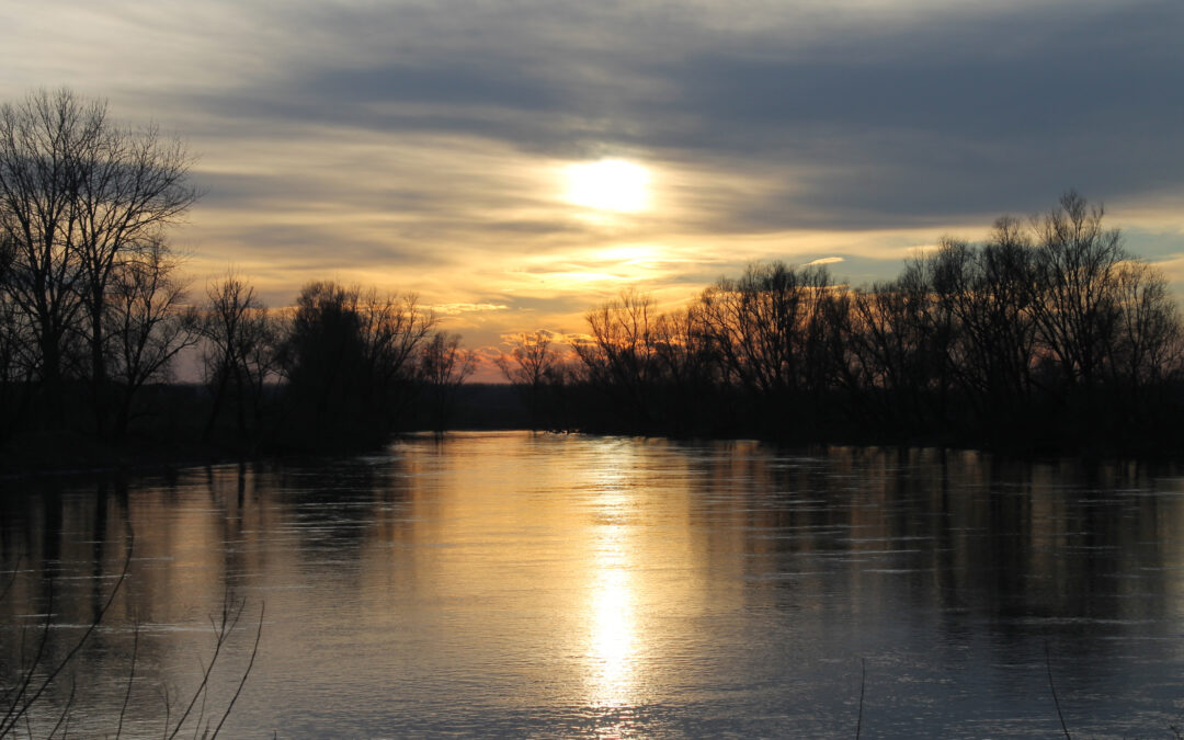 Patto per l’Energia Sostenibile nelle Terre dell’Oglio