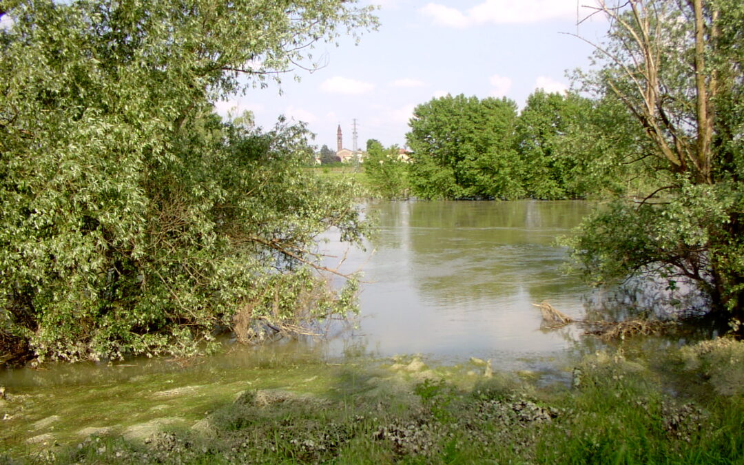 Paesaggi e Culture di Fiume tra Oglio e Po
