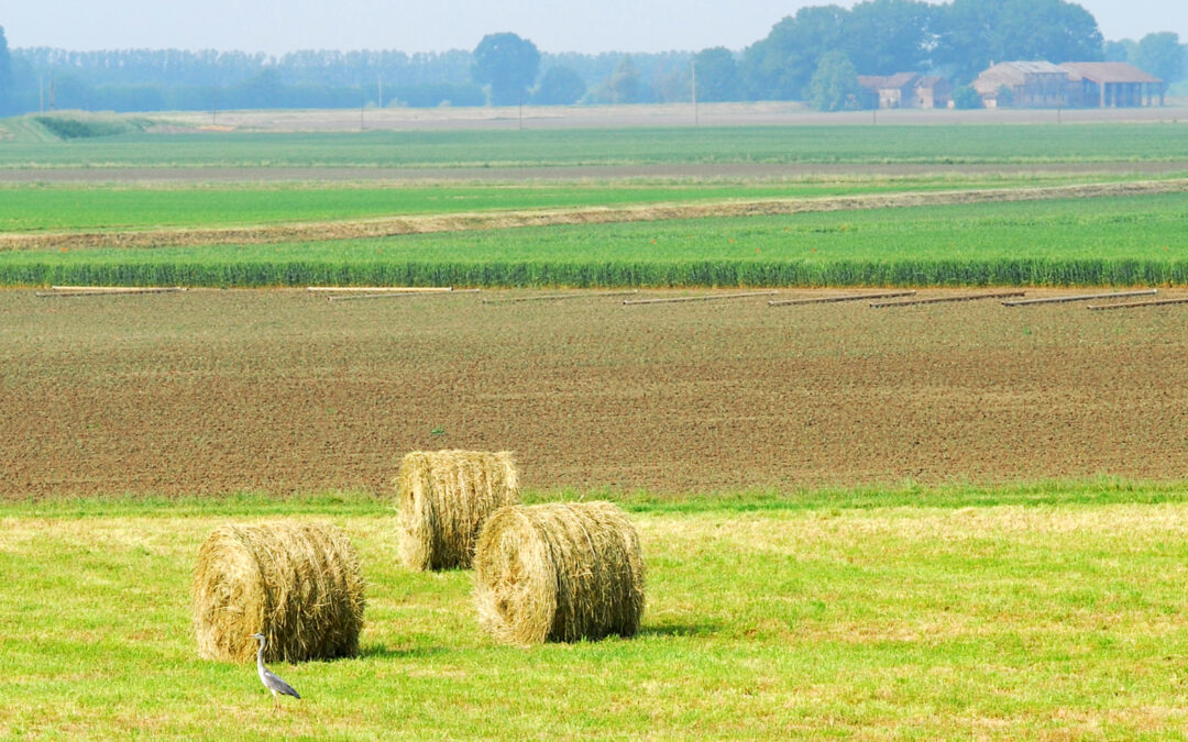 Valorizzazione Territoriale e Salvaguardia dello Spazio Rurale nel Circondario Cremasco