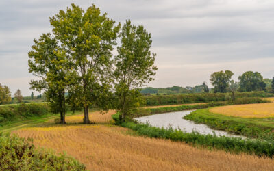 L’Oglio Po di fronte al cambiamento climatico