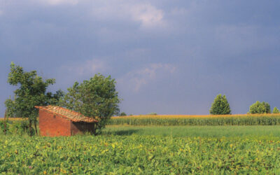 Graduatoria Intervento SRD09 – Investimenti non produttivi nelle aree rurali