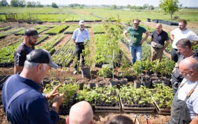 Bando SRH05 – Azioni dimostrative (anche) correlato SRG07